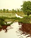 Landscape Artwork - Jan Dingle - Print Maker